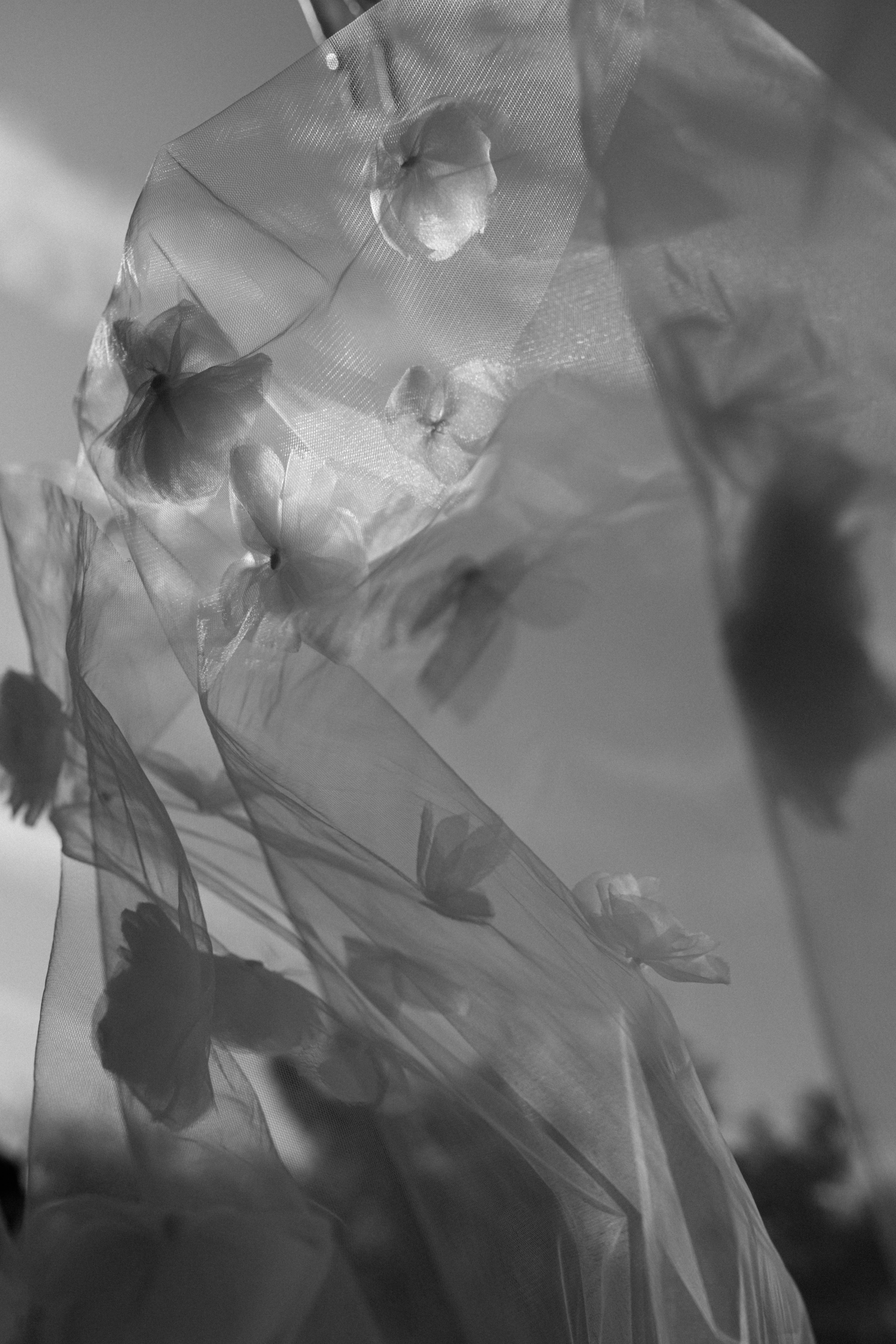 N14 - Summer Garden Veil