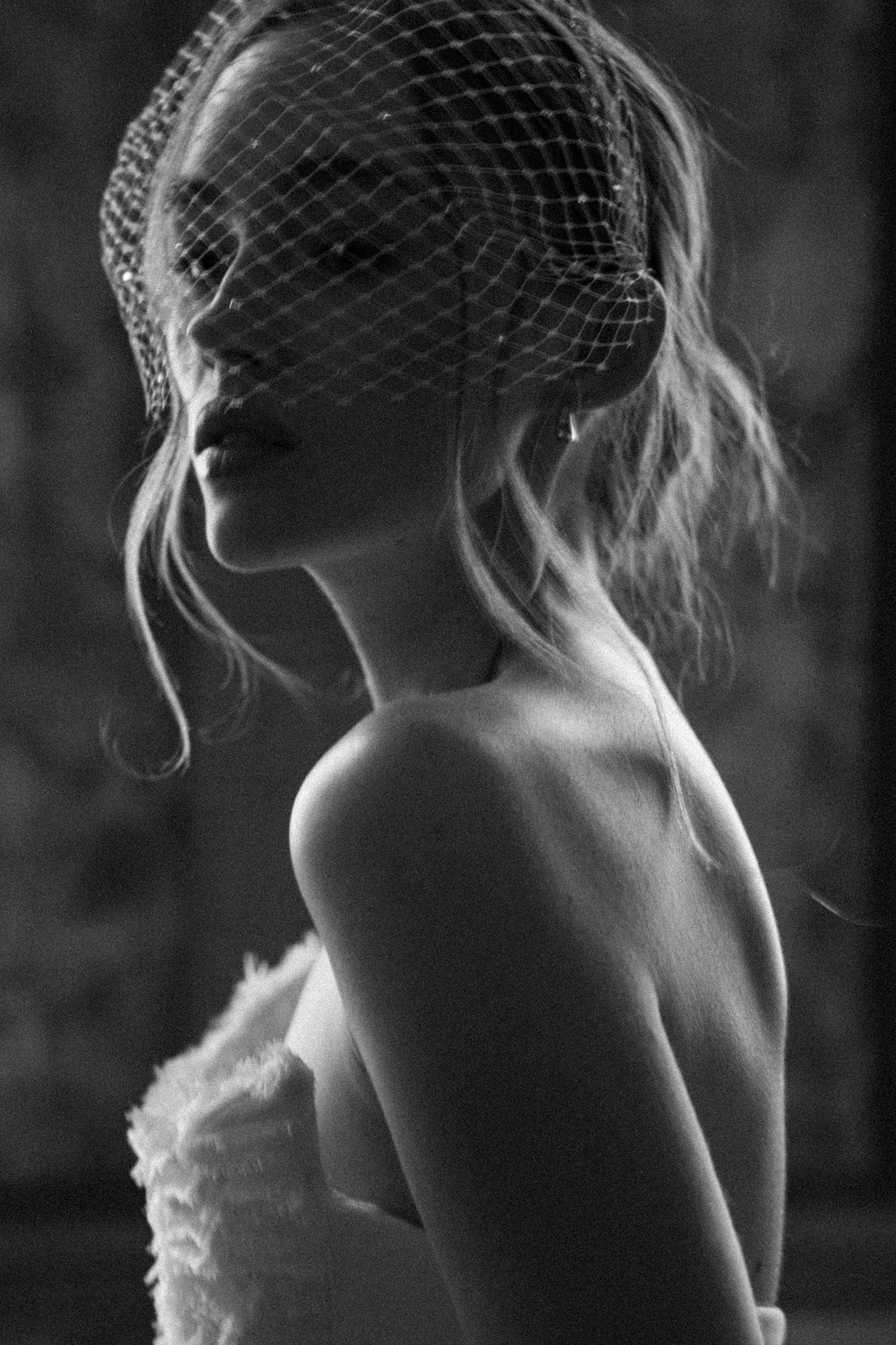 N20 - SPARKLE CAGE VEIL