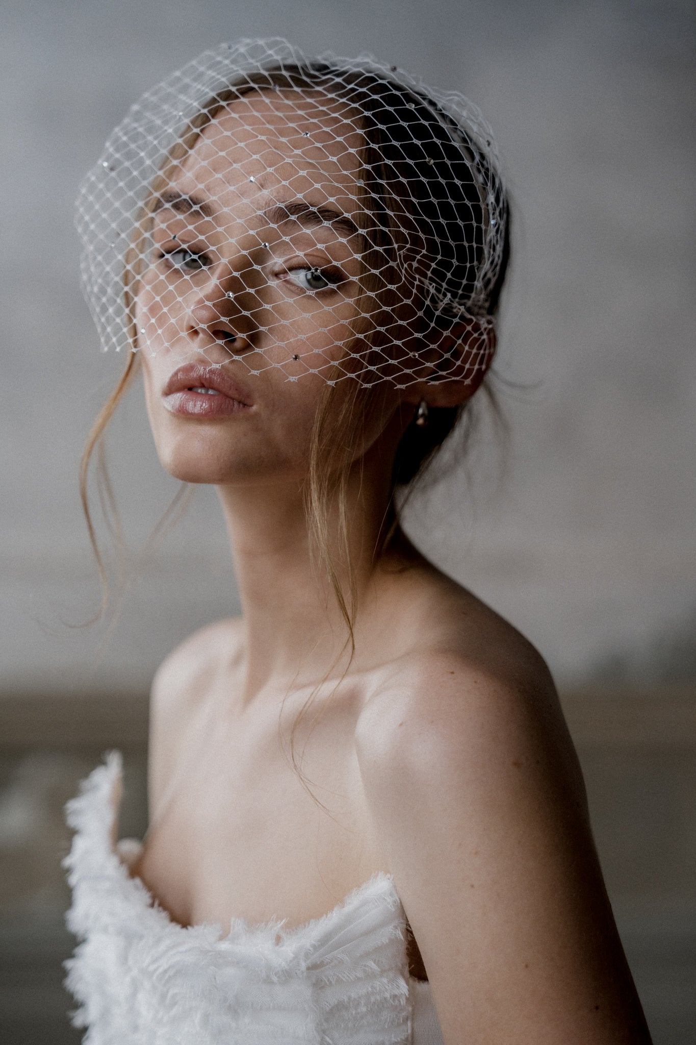 N20 - SPARKLE CAGE VEIL