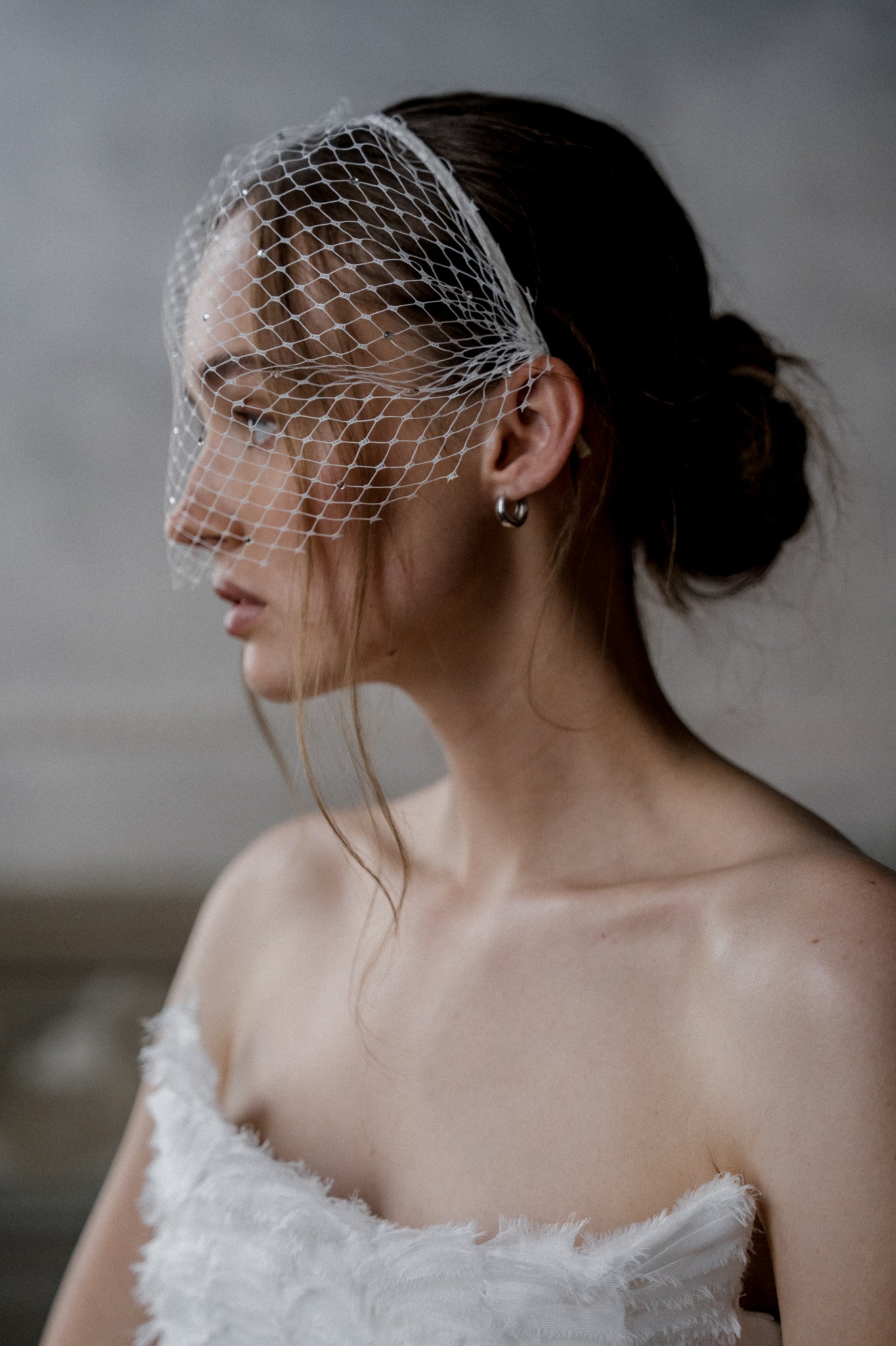 N20 - SPARKLE CAGE VEIL